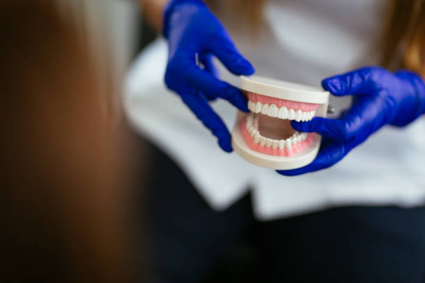 Best Dental Exams and Cleanings  in Boise, ID